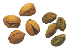 pistazie.gif (6174 Byte)