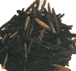 WILDREI1.GIF (14476 Byte)